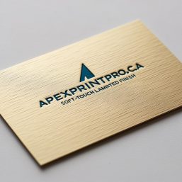 Business Cards Soft Touch