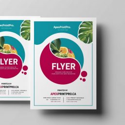 Alternative view of Flyers