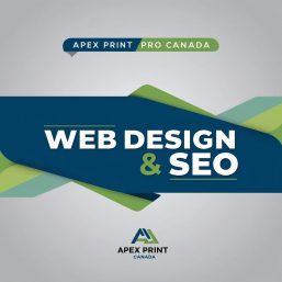 Web Design & SEO